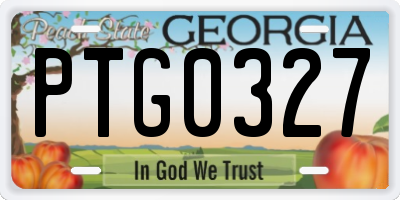 GA license plate PTG0327