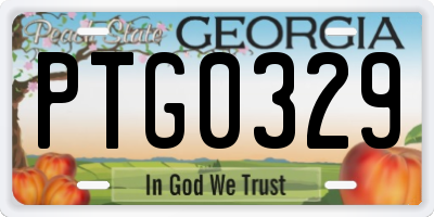 GA license plate PTG0329
