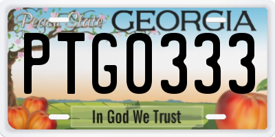 GA license plate PTG0333