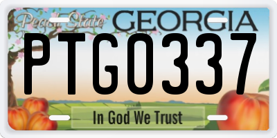 GA license plate PTG0337