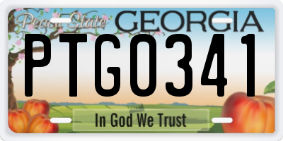 GA license plate PTG0341