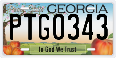 GA license plate PTG0343