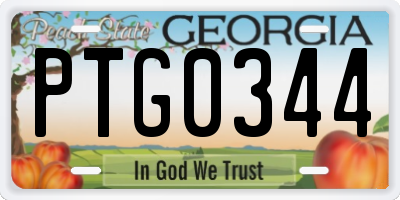 GA license plate PTG0344