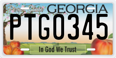 GA license plate PTG0345