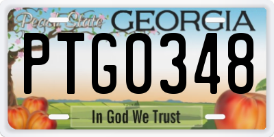 GA license plate PTG0348