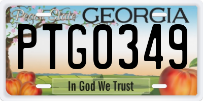 GA license plate PTG0349