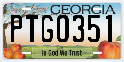 GA license plate PTG0351