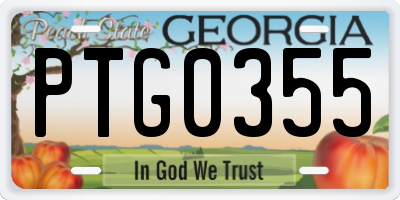 GA license plate PTG0355