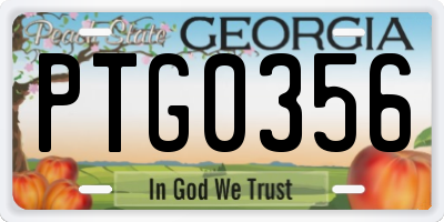 GA license plate PTG0356