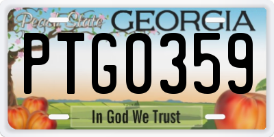 GA license plate PTG0359