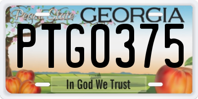 GA license plate PTG0375