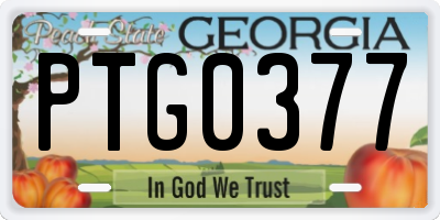 GA license plate PTG0377
