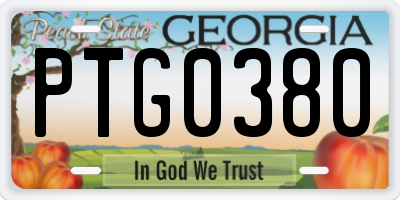 GA license plate PTG0380