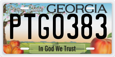GA license plate PTG0383