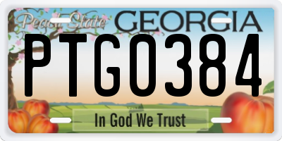 GA license plate PTG0384