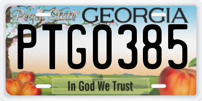 GA license plate PTG0385