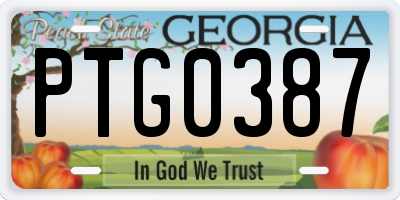 GA license plate PTG0387