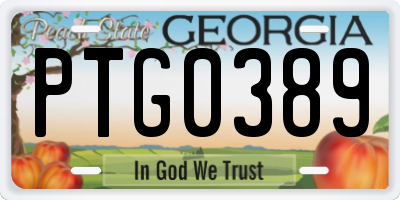 GA license plate PTG0389