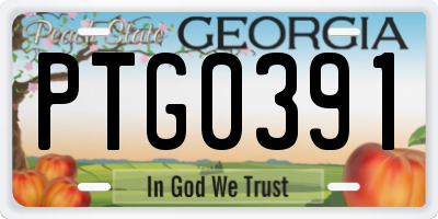GA license plate PTG0391