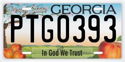 GA license plate PTG0393
