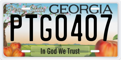 GA license plate PTG0407