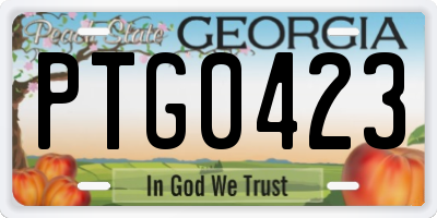 GA license plate PTG0423