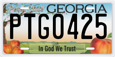 GA license plate PTG0425