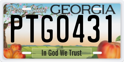 GA license plate PTG0431