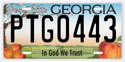 GA license plate PTG0443
