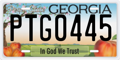 GA license plate PTG0445