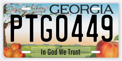 GA license plate PTG0449