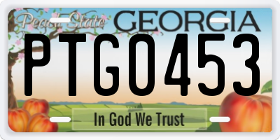 GA license plate PTG0453