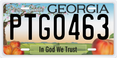 GA license plate PTG0463