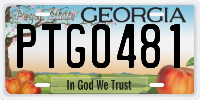 GA license plate PTG0481