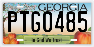 GA license plate PTG0485