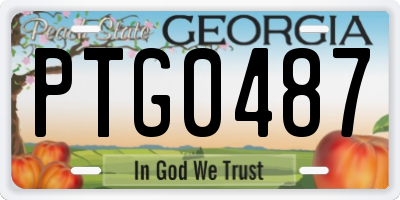 GA license plate PTG0487