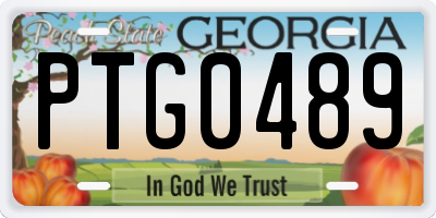 GA license plate PTG0489