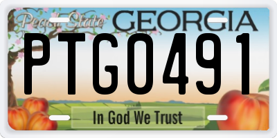 GA license plate PTG0491