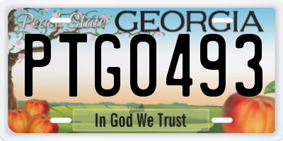 GA license plate PTG0493