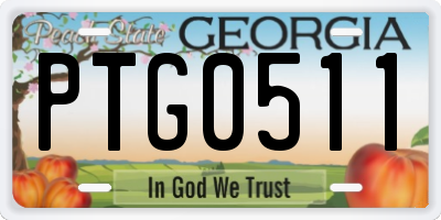 GA license plate PTG0511