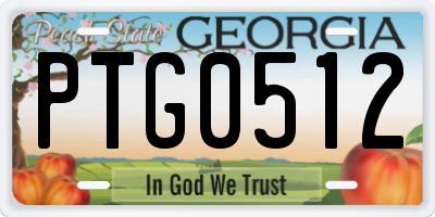 GA license plate PTG0512