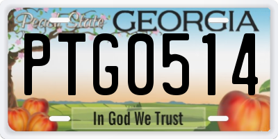 GA license plate PTG0514