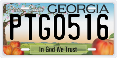 GA license plate PTG0516