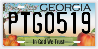 GA license plate PTG0519