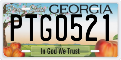 GA license plate PTG0521