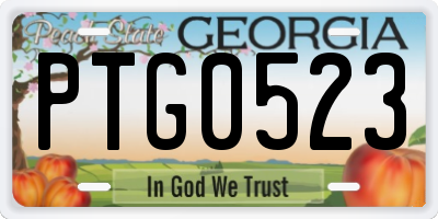 GA license plate PTG0523