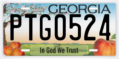GA license plate PTG0524
