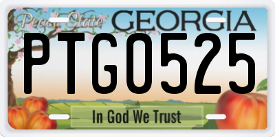 GA license plate PTG0525