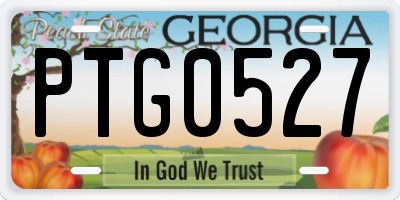 GA license plate PTG0527