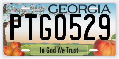 GA license plate PTG0529